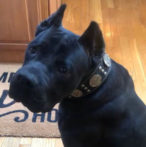 Meet your Posher, Jessica